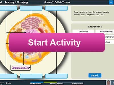 Earn points by testing your medical knowledge through this anatomy & physiology lab from MindTrap/Cengage Learning.